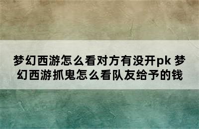 梦幻西游怎么看对方有没开pk 梦幻西游抓鬼怎么看队友给予的钱